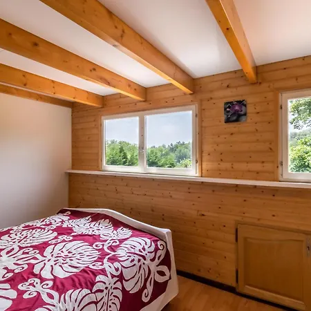 Tatil Evi Le Pitai Perigord Noir Rouffignac Saint-Cernin